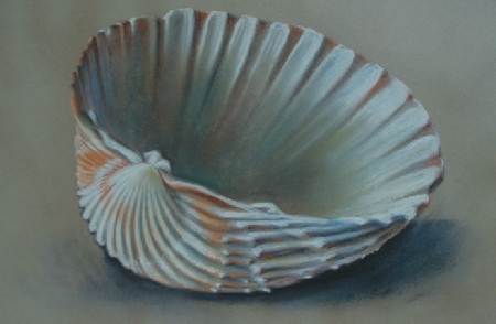 White Shell